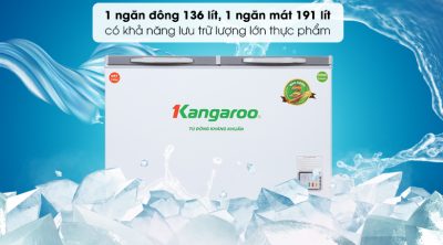 tiêu chí chọn mua tủ đông